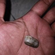 mustika batu kelor putih