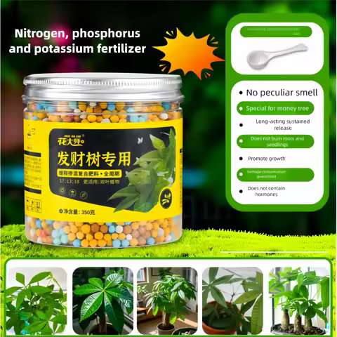 350g Money Tree Fertilizer Slow-Release Compound NPK Granules,All-Purpose for Potted Plants,Indoor G