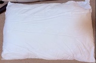 原裝正品Mediflowpillow 美國水枕頭