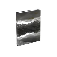 Living Room Model Room Center Green Plant Sales Office Decoration Book Lobby Ornament OMENIA Coffee 