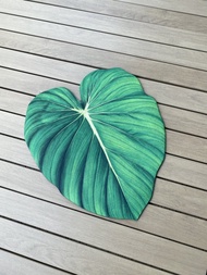 BLR 觀葉植物 造型萬用墊 B1 大麥克 龜背芋 彩葉芋 傑克林