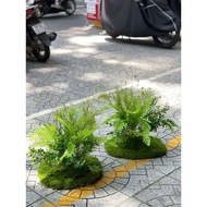 Artificial Grass Carpet for Interior Decoration 50cm X 50cm - Decorative Decor