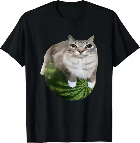 90s Y2k Watermelon Cat Silly Cat Meme T-Shirt A Hilarious Watermelon Print Shirt Is A Stylish Top Te