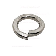 Set of 05 304 Stainless Steel Temple Feathers Size M8 (8 Li) M113339