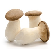 Fresh Vegetables - King Oyster Mushroom 200g+ <Feiming's Greens>