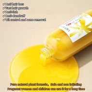 Anti off shampoo Hair growth shampoo Hair loss shampoo Ginger shampoo 500ML Ginger Hair Regrowth Den