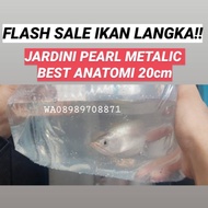 ARWANA JARDINI PEARL METALIC 18-20cm