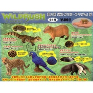 Ocean Hall Capsule Toys Real Animals 2 Tropical Leopard Parrot