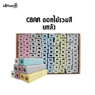 C-BAR ซีบาร์ (ยกลัง 100 ชิ้น) วัสดุกรองตู้ปลา บ่อปลา ทำให้น้ำใสขึ้น มีค่า pH เป็นกลางแบคทีเรียเติบโต