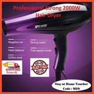 Delly Professional Fashion Salon Hair Dryer Strong 2000w Hair Style Wind Dryer  (Ready Stock)