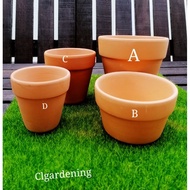 Terra cotta pot /cactus succulents pot