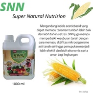 Pupuk organik cair SNN untuk jagung, nutrisi tanaman cepat berbuah