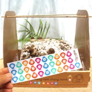 Sticker 31 Days - Notes on Mushroom Development Stages