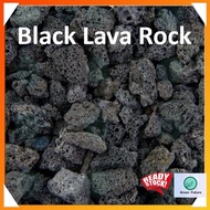 BLACK VOLCANIC LAVA ROCK AQUARIUM STONE BATU GUNUNG BERAPI  PASIR MALANG  黑火山石 多肉黑色火山石 种植火山石