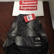 Supreme x TNF Backpack