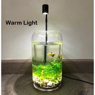 Warranty Round Acrylic Board LED White Warm Light 3W Aquarium Light Small Light  Terrarium Light