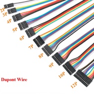 10Pcs 2.54mm 2.54 Wire Dupont Line 2/3/4/5/6-Pin Dupont Wire Connector Jumper Wire for PCB