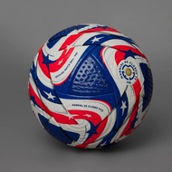 New season Club WC2025 soccer ball - Size 5, latest molded soccer ball + Free pump, 12 Month Leather