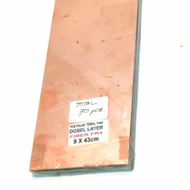 PCB polos FIBER FR4 doubel layer 9x43cm tebal 1mm