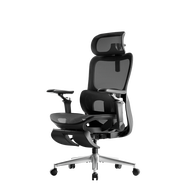 Hbada P2 Ultra Ergonomic Office Chair Gaming Chair with 5D Lumbar Support & 6D Wide Armrests Office