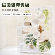 [Yuanyou] Climbing Pet Gecko Climbing Bracket Magnetic Suspension Type Ladder Arboreal Breeding Tank