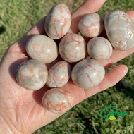 Dali Jasper 2-3ซม. หินร่วง-หินหมู-คริสตัลหินบำบัด