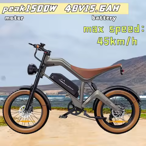 Electric Bicycle Peak 1500W Motor 48V15.6AH Lithium Battery 45km/h Electric Bike 20 Inch Tire off-ro