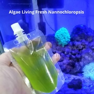 Algae Living Fresh Nannochloropsis 100ml Green for Rotifer / Artemia / Clowfish fry / Copepod