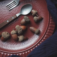 Natural Acorn Small Acorn Dried Flower ins Style Influencer Room Decoration Posing Photography Photo