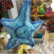 Blue Starfish puppet