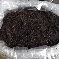 Tanah hitam / topsoil (menyuburkan tanaman)