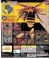 不議價只限郵寄  (欠座缺一翼) bandai 昆蟲扭蛋 編號#1 虎頭大黃蜂 胡蜂