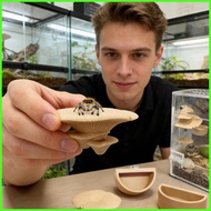 Jumping Spider Enclosure Decor Mushroom Magnetic Natural Holder with Water Bowl Jumping Spider Suppl