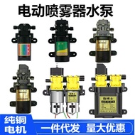 Electric Sprayer Water Pump 12V Electric Sprayer Sprayer Pure Copper Electric Diaphragm Pump Car Was