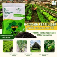 TJN WATER SOLUBLE FERTILIZER NPK 20-20-20 + TE -1KG