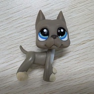 【Ready Stock】littlest pet shop Pets Doll Cat Dog Chihuahua Figure Toys littlest pet shop house littl