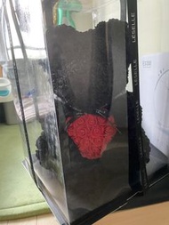 玫瑰熊—永生玫瑰