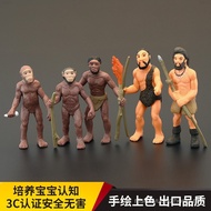 New Solid Children Simulation Animal Model Set Animal Toys Ancient Ape Wisdom Human Evolution Cycle 