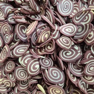 KUPING GAJAH COKLAT DARI INDONESIA