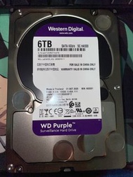 Western Digital WD Purple 6TB 監控硬碟