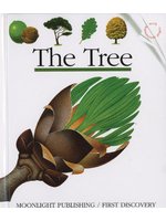 The Tree (First Discovery) (First Discovery Series) (新品)