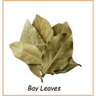Dried Bay Leaf / Bay Leaves 月桂叶 香叶 / Daun Salam - Food Grade Herbs &amp; Spices - 【香料 SPICE