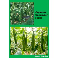 japanese cucumber vegetable seeds benih sayur timun jepun 日本黄瓜