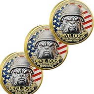 USMC 250th Anniversary Challenge Coin – Double-Sided Marine Corps Commemorative with Bulldog & Iwo J