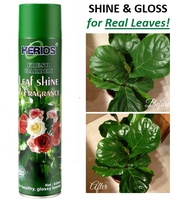 Spray Can Leaf Shine Spray Pengilat Kilat Daun 650ml