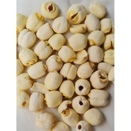 Pure Fujian Lotus Seeds Kacang Teratai Fujian Lotus Seeds Kacang Teratai