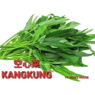 Biji Benih Kangkung/空心菜种子/Kangkung Seed*FAST SHIPPING