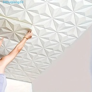 HUIJIANG Non-self-adhesive Wall Sticker, Geometric White 3D Wall Panel, Classics PVC Modern Waterproof Background Wallpaper Living Room