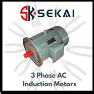 3 Phase AC Induction Motor 电机