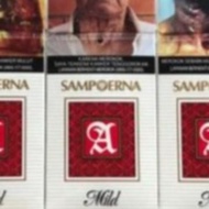 sampoerna mild            12 / slop